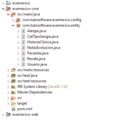 java project