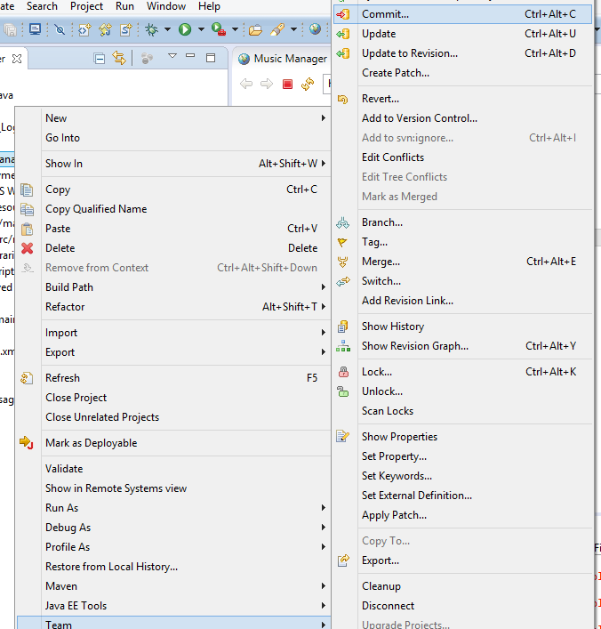 hibernate project