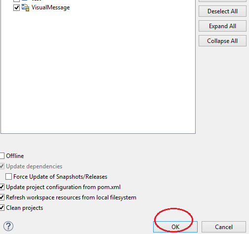 java project